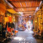 Medina Of Marrakesh Shopping Tour - The Pros and Cons from Traveler Experiences