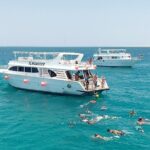 Meet the dolphins in snorkeling tour - The Group Experience & Atmosphere