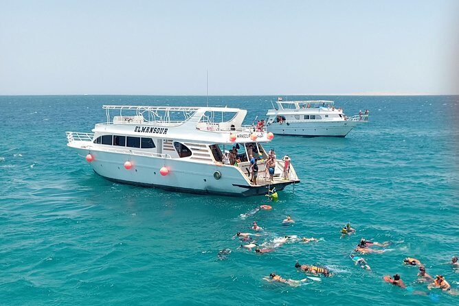 Meet the dolphins in snorkeling tour - The Group Experience & Atmosphere