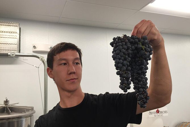 Meet the Winemakers - Seven Birches Winery Tour - Final Thoughts: Is It Worth It?