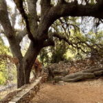 Melanes Tour: Village Highlights & Garden-to-Table Meal - Why This Tour Offers Great Value