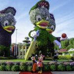 Memorable Evening at Dubai Global Village with Dubai Miracle Garden Visit !! - Final Thoughts: Is This Tour for You?