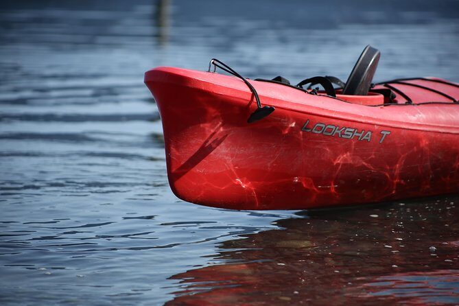 Mendenhall Glacier View Sea Kayaking - What Is the Mendenhall Glacier View Sea Kayaking Tour?