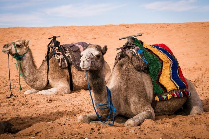 Merzouga 3-Days Desert Tour from Marrakech - Day Two: Dunes, Oases, and Desert Arrival