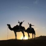 Merzouga Desert & Atlas Mountains from Casablanca - Practical Insights for Potential Travelers