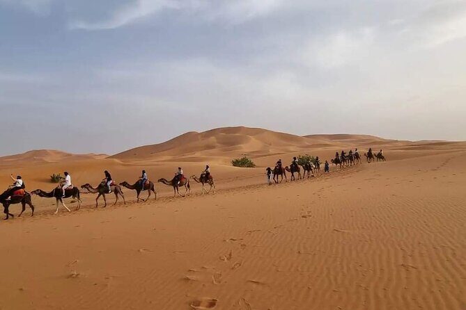 Merzouga desert circuit 3 days departure from Marrakech. - What Sets This Tour Apart