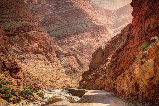 Merzouga desert tour from Marrakech & camel ride - In-Depth Review of the Tour Experience