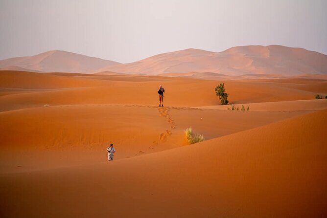 Merzouga Sahara Desert 2 Days Trip from Ouarzazate. - Practical Details and Value