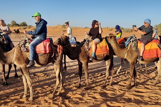 Merzouga Sahara & Erg Chebbi Luxury Bivouac - Authentic Experiences and Review Insights