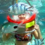 Mesmerizing Ile aux Cerf: Speed Boat, GRSE, Lunch & Undersea walk (Full Day) - Practical Details and What to Expect