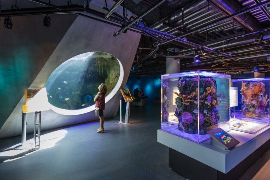 Miami: Frost Museum of Science and Planetarium Entry Ticket - Who Will Love This Experience?