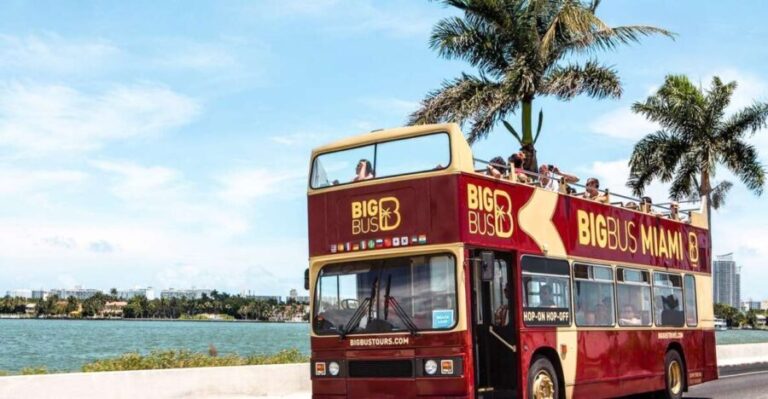 Miami: Hop-on Hop-off Sightseeing Tour with Optional Cruise - How the Tour Works and What to Expect