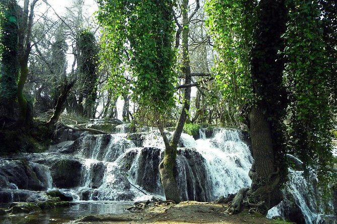 Middle Atlas day Trip from Fez - What Makes This Tour Stand Out?