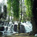 Middle Atlas Mountains Day trip from Fes - The Itinerary: What to Expect