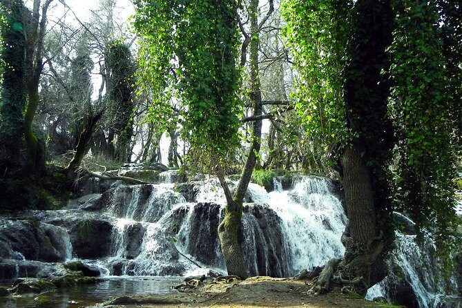 Middle Atlas Mountains Day trip from Fes - The Itinerary: What to Expect