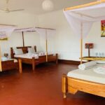 Mikumi National Park 2 Days/ 1 Night - Value and Practicality
