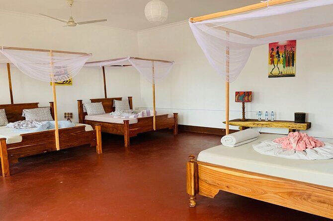 Mikumi National Park 2 Days/ 1 Night - Value and Practicality
