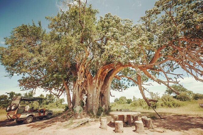 Mikumi National Park 3 Day Tour - Transportation and Comfort