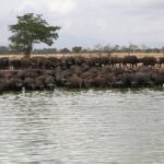 MIKUMI NATIONAL PARK - 3 Days - Final Thoughts