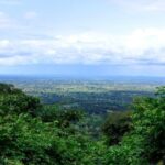 Mikumi National Park And Udzungwa Mountains National Park From Morogoro 2 Days - Authentic Experiences and Special Highlights