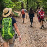 Mimosa Valley Trail: Explore Maroços - Introduction: What’s Special About This Walk?