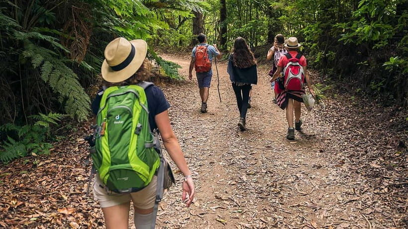 Mimosa Valley Trail: Explore Maroços - Introduction: What’s Special About This Walk?