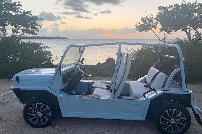 Mini Moke Rental on Marco Island - Introduction