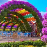 Miracle Garden and Global Village Combo with Private Transport - What’s Included and What’s Not