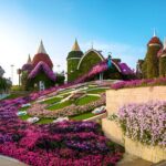 Miracle Garden and Global Village with Hotel Transfer - Global Village: A Cultural Kaleidoscope