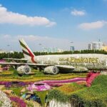Miracle Garden And Global Village With Optional Transport - Transportation & Logistics