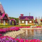 Miracle Garden & Butterfly Garden with Ticket & Private Transfers - Who Is This Tour Best For?