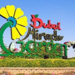 Miracle Garden & Global Village Combo Admission Ticket - Exploring Dubai’s Top Attractions: Miracle Garden & Global Village