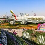 Miracle Garden & Global Village Combo with Transfer Option - Insights from Real Travelers