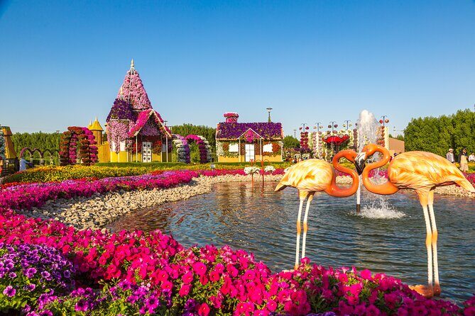 Miracle Garden In Dubai tickets with pickup drop option - Who Should Consider This Tour?