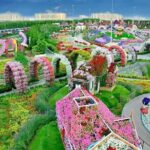 Miracle Garden Ticket Dubai with Shared Transfers - Exploring Dubai’s Miracle Garden