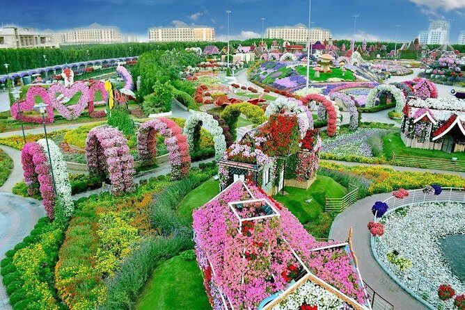 Miracle Garden Ticket Dubai with Shared Transfers - Exploring Dubai’s Miracle Garden