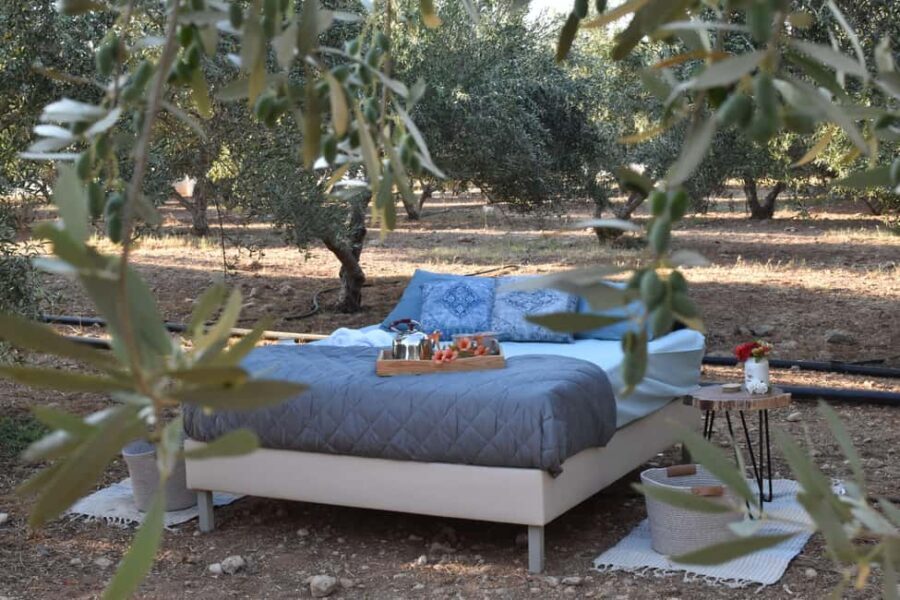 Mires: Cooking Class & Stargazing with Luxury Outdoor Sleep - Why This Tour Stands Out