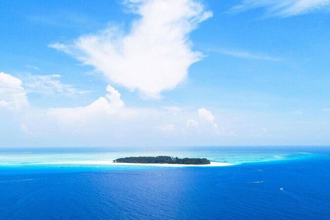 Mnemba Dolphin Tour, Clear Kayak, Cooking Class, Horse Riding - FAQs About the Tour