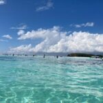 Mnemba Island Dolphin Tour and Stonetown Walking Tour - The Practicalities of the Tour