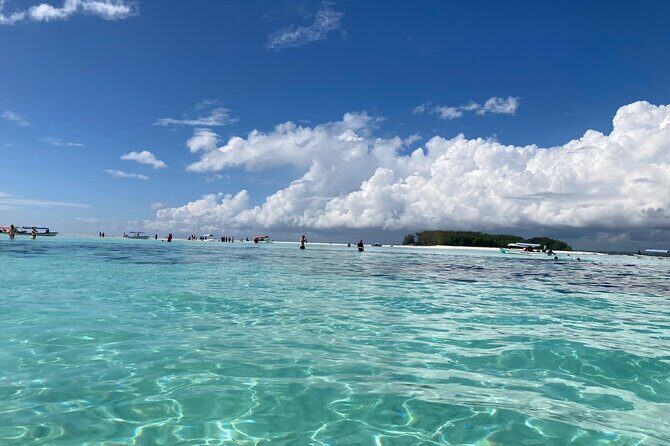 Mnemba Island Dolphin Tour and Stonetown Walking Tour - The Practicalities of the Tour