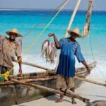 Mnemba Island Half Day Live Aquarium With Transfer - Zanzibar - Who Will Love This Tour?