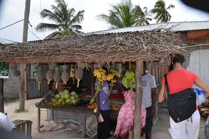 Mnemba Island, Nungwi Village & Sea Turtle Experience - In-Depth Breakdown of the Tour