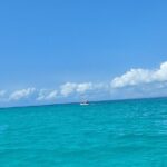 Mnemba Island Snorkeling and Dolphin tour - The Delicious Seafood Barbecue & Exotic Fruits