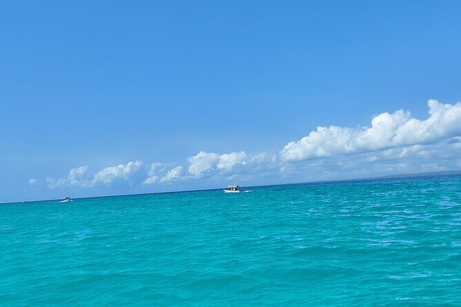 Mnemba Island Snorkeling and Dolphin tour - The Delicious Seafood Barbecue & Exotic Fruits