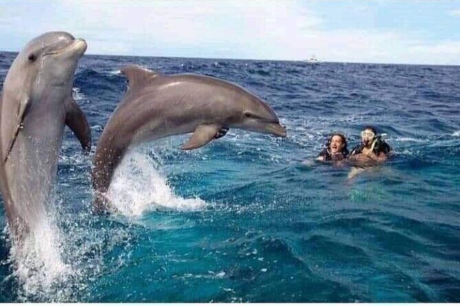 Mnemba Island snorkeling and Swimming with Dolphin - What to Expect During the Day