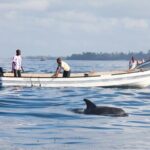 Mnemba Island Snorkeling and Swimming with Dolphins - Practical Details: Transportation, Timing, and Group Size