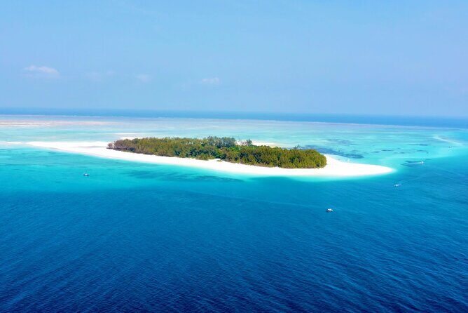 Mnemba island snorkeling tour - Unique Insights from Reviews