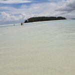 Mnemba Snorkeling, Dolphin and Baraka Natural Aquarium - Transportation and Practicalities