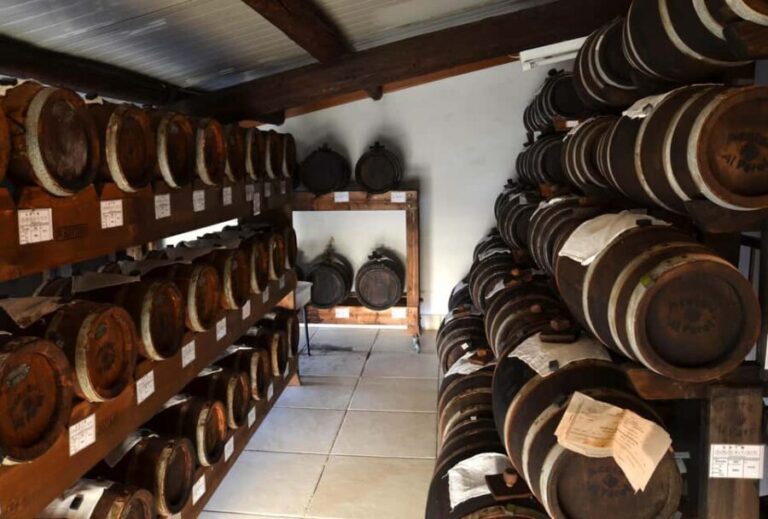 Modena: Balsamic Vinegar Tour and Tasting - Who Will Love This Tour?