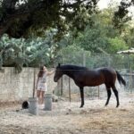 Moita: Amazing Full-Day Tour with Horseback Riding on the Beach - What to Expect on the Tour